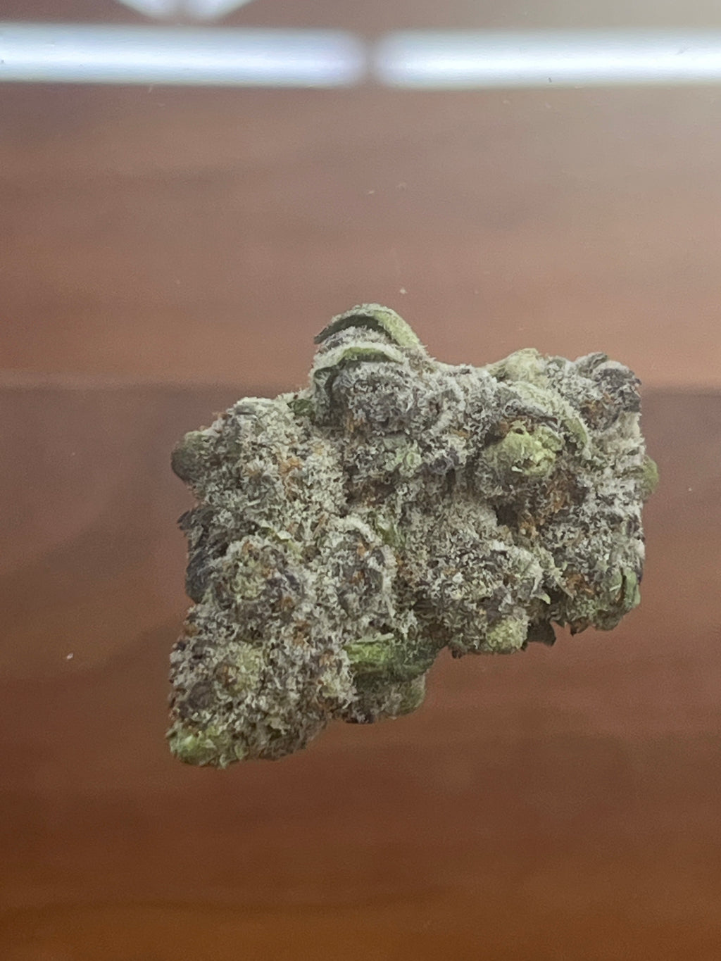 El chivo THCA 33.87% 1 gram