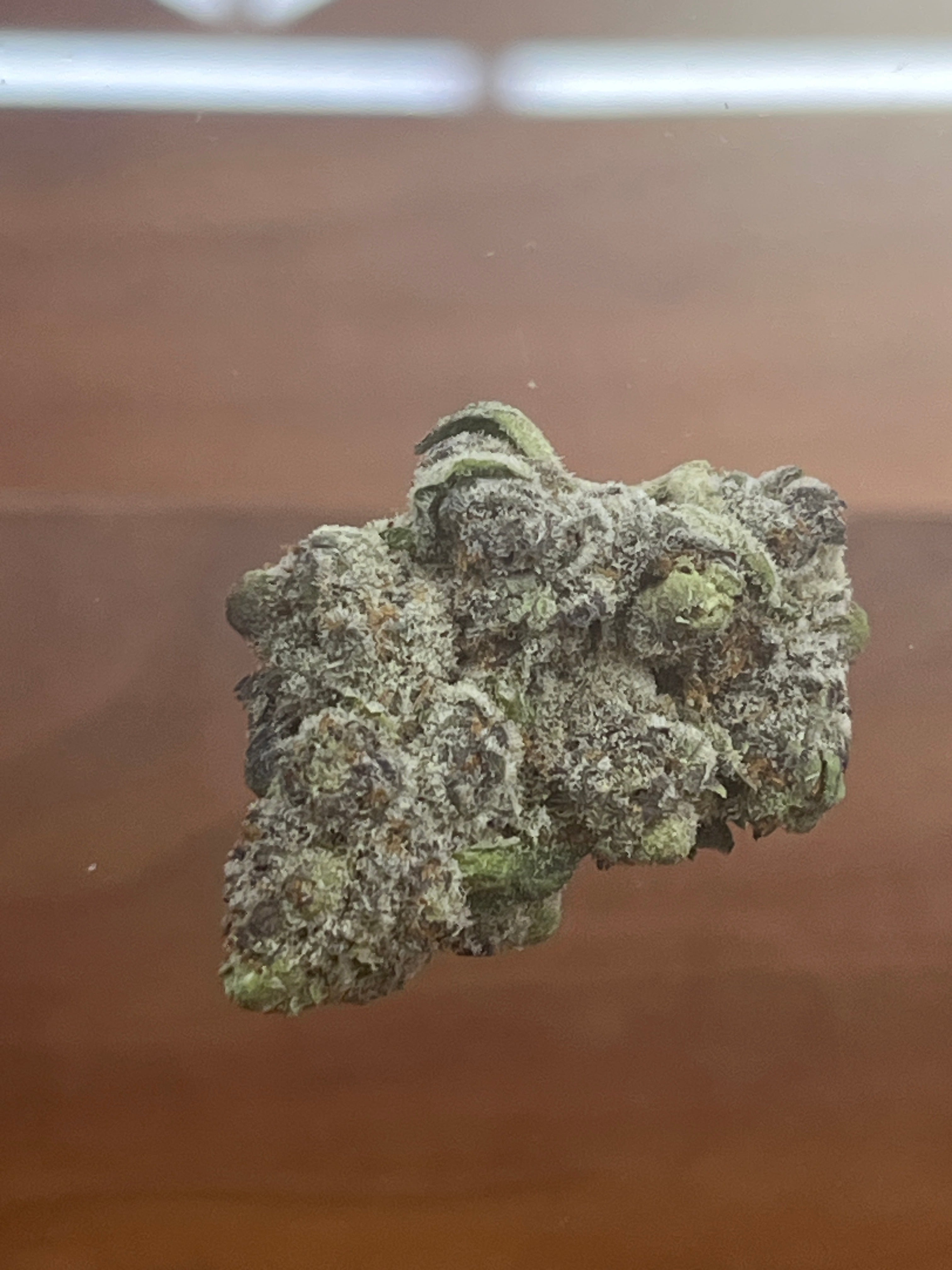 El chivo THCA 33.87% 1 gram