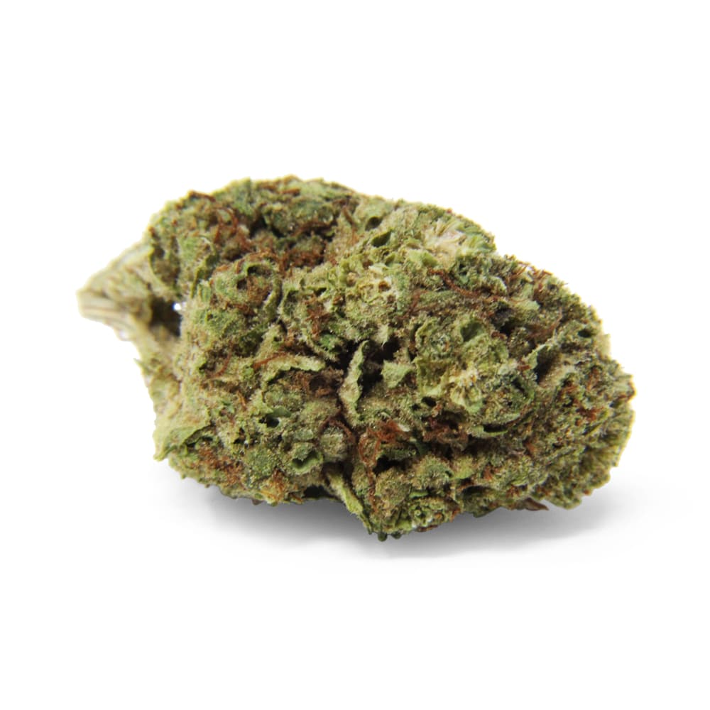Zombie Smokes – Gelato THCA Flower (3.5g)